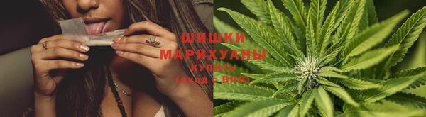 стафф Пестово