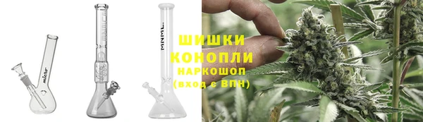jwh Пересвет