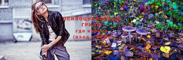 стафф Пестово